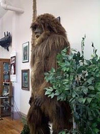 International Cryptozoology Museum